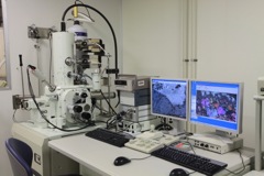 走査型電子顕微鏡 (JEOL JSM-7000F)