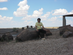 Petrified Forest3