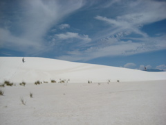 White Sands4